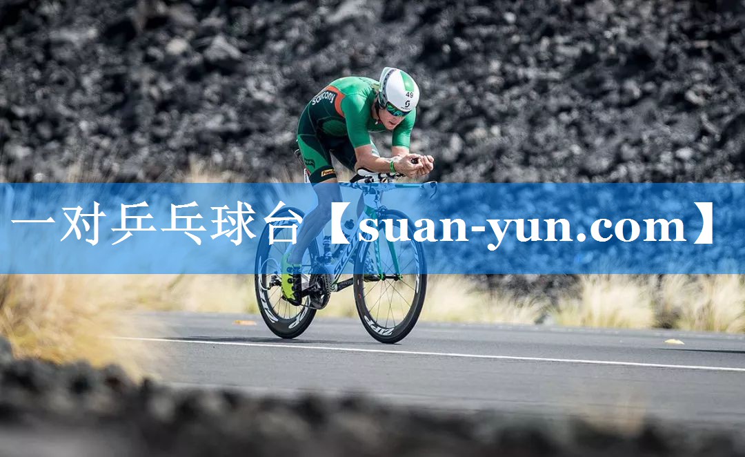 一对乒乓球台