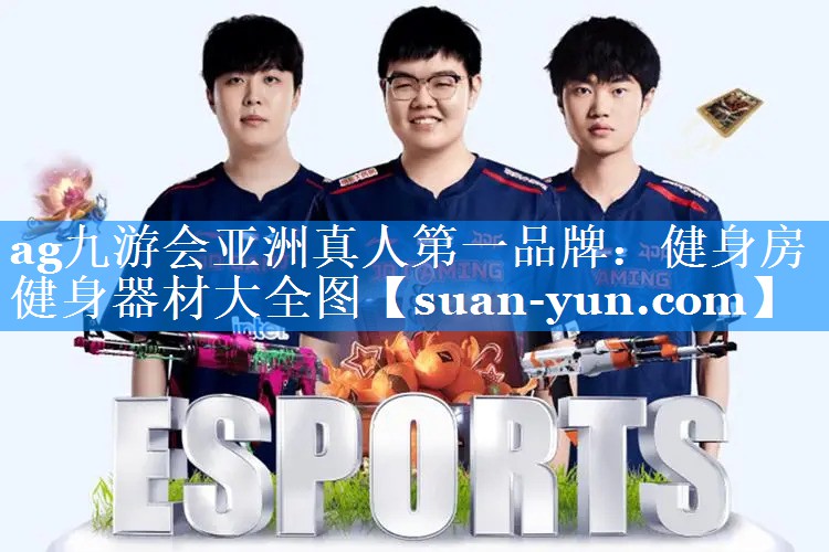 健身房健身器材大全图